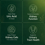 Veylen Labs® Chanca Piedra Complex